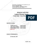 Lahan Pasang Surut PDF