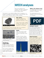 SEM EDX Analyses