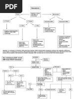 Alur Tatalaksana Hematuria AAP