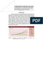 Doenças Da Reprodução de Bovinos de Corte