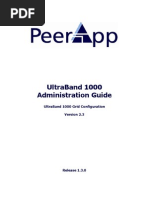 PeerApp UltraBand 1000 Administration Guide - Grid Configuration