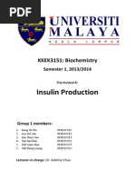 Production of Insulin