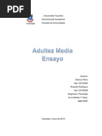 Adultez Media (Ensayo)