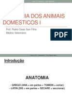 1 - Introdução A Anatomia