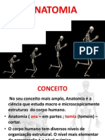 Aula Anatomia PDF