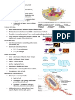 BMI1014: Chapter 2 - Bacteria-Morphology and Classification