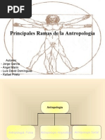 Ramas de La Antropologia