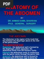 Anatomy of The Abdomen: Dr. Ahmad Kamil Shahwan Ph.D. General Surgery