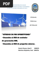 Informe - Pre Operatividad PDF