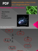 1.2.enfermedades Endémicas