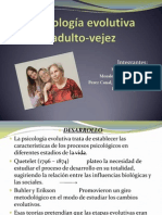 Psicología Evolutiva Adulto-Vejez