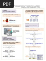 Me No. 6 Identificacion de Carbohidratos en El Suero Sanguineo