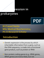 Gene Expression in Prokaryotes.