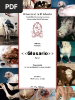 Glosario 2