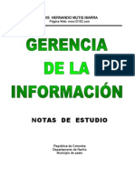 Gerencia de La Información