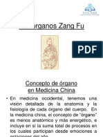 05 Organos Zang Fu 2010