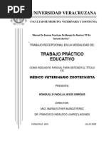 Manual Buenas Practicas TIF PDF