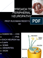 Approach To Peripheral Neuropathy