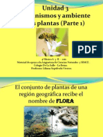 Las Plantas 2