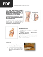 Lesiones Del Ligamento Colateral Lateral