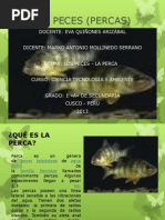 Los Peces (Percas)