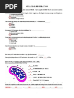 Cellular Respiration Review Worksheetkey