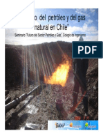 El Petroleo y Gas Natural en Chile