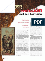 Origen y Evolucion Del Ser Humano