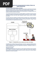 Conceitos Básicos de Armazenamento de Dados. Banco de Dados Relacional.