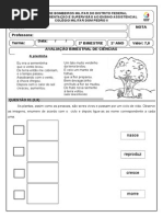 Prova de Ciencias 2º Bimestre - Docx Nova