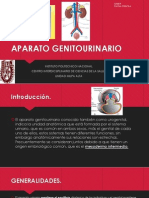 Aparato Genitourinario