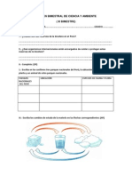 Examen Bimestral de Ciencia y Ambiente 5