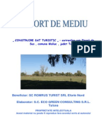 RAPORT DE MEDIU ROMRUS Varianta Finala PDF