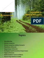 Forest Resources