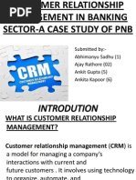 Customer Relationship Management in Banking Sector-A Case Study of PNB