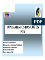 Clase Fundamentos PCR 2009