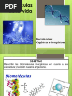 BIOMOLECULAS ORGANICAS E INORGANICAS 1° Medio