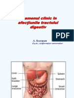 Aparatul Digestiv