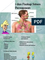 Anatomi Dan Fisiologi Sistem Pernafasan