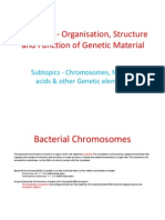 Chromosomes, Nucleic Acids & Other Genetic Elements