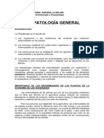 Capitulos I, Ii, Iii, Iv, V PDF