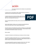 Respiración en Humanos, Plantas y Animales