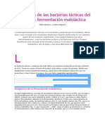 Bioquímica de Las Bacterias Lácticas Del Vino y La Fermentación Maloláctica