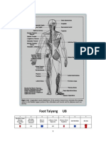 Tendino Vessels & Muscles