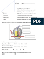 Practice Test Dna Rna Proteins