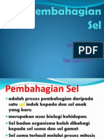 Pembahagian Sel