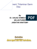 Gastrulation and Formation of Germ Layers