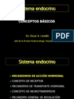 Sistema Endocrino