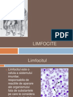 Limfocite 2007