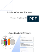 Calcium Channel Blockers